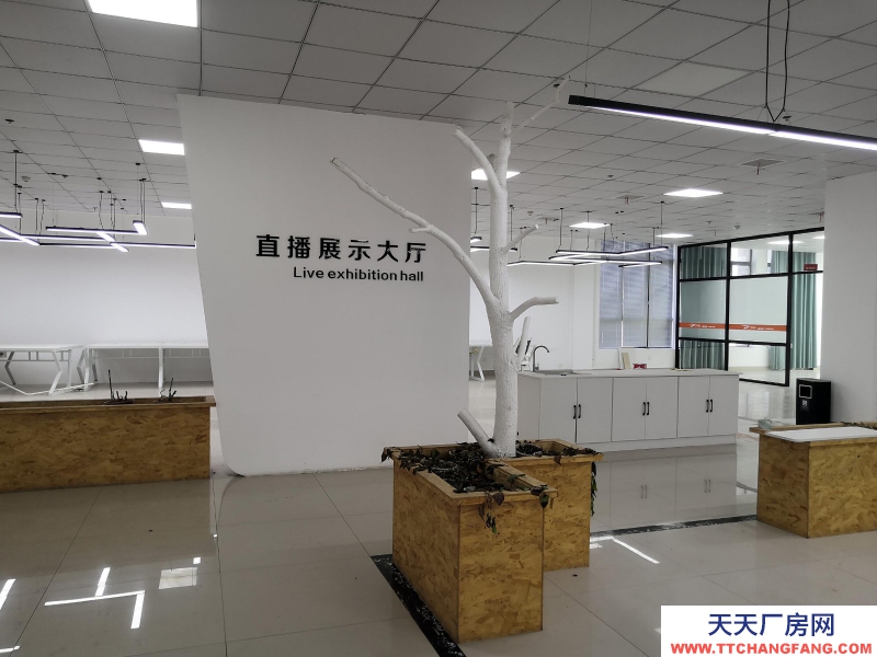 湖州织里大型直播基地出租 装修好 直接入住 童装产业带上位置好