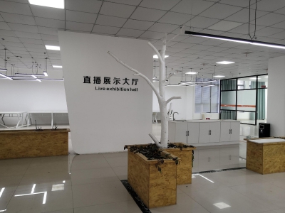 湖州织里大型直播基地出租 装修好 直接入住 童装产业带上位置好图7