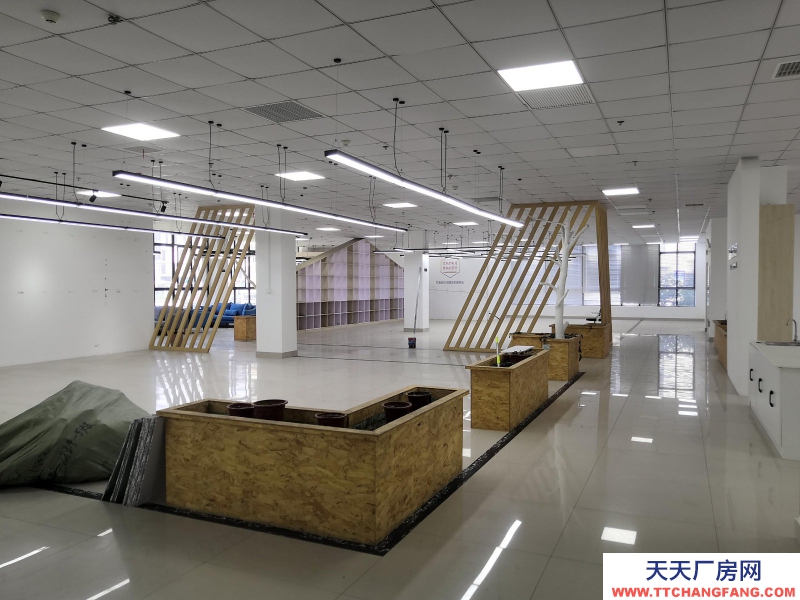 湖州织里大型直播基地出租 装修好 直接入住 童装产业带上位置好