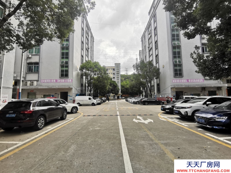(出租) 深圳宝安光明原房东无公摊一楼带牛角厂房出租2000平大小可分仓库出租