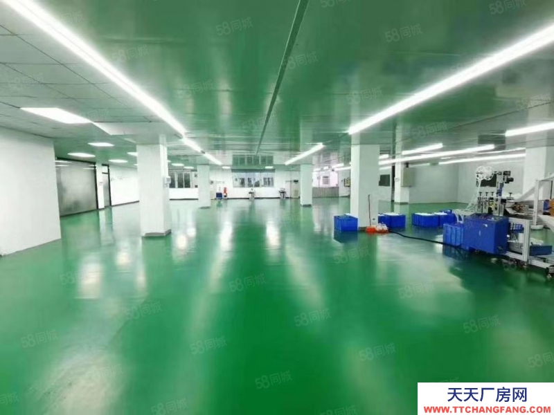 (出租) 深圳宝安福永107国道凤凰楼上豪华装修厂房出租带无尘车间1500平方