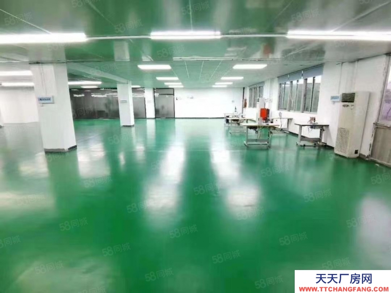 (出租) 深圳宝安福永107国道凤凰楼上豪华装修厂房出租带无尘车间1500平方