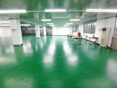 (出租) 深圳宝安福永107国道凤凰楼上豪华装修厂房出租带无尘车间1500平方图4