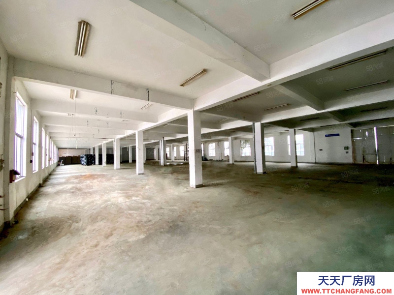 杭州建德(出租) 高速口 标准厂房 带精装办公 整栋出租