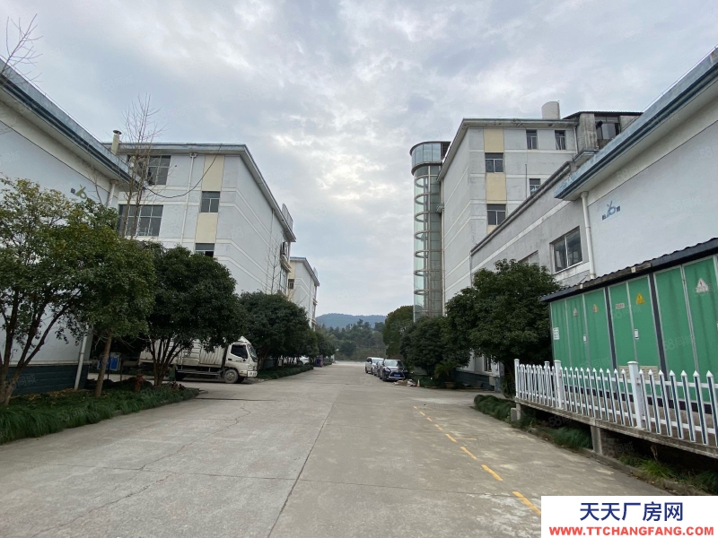 杭州建德(出租) 高速口 标准厂房 带精装办公 整栋出租