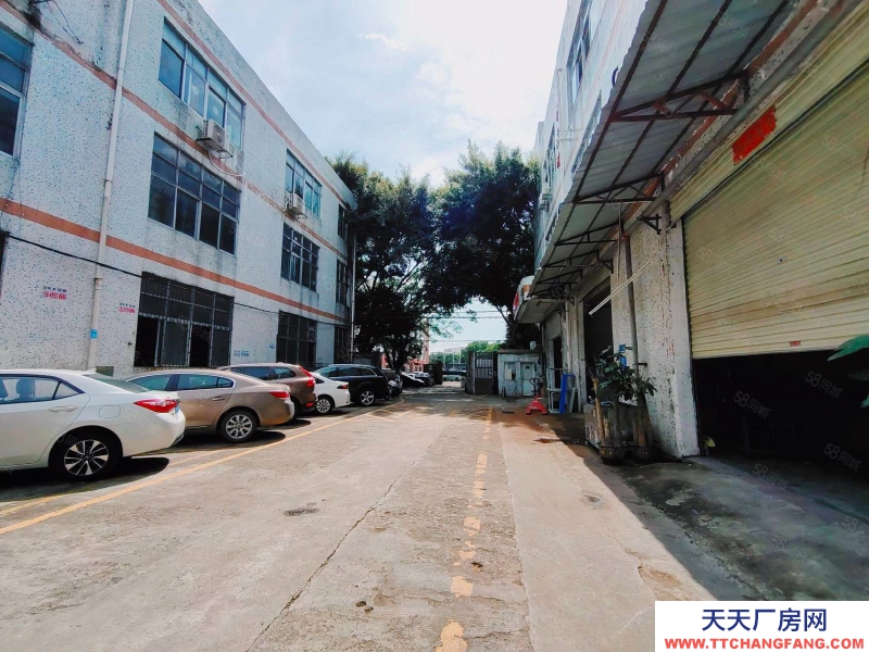 (出租)深圳宝安 福永白石厦一楼300平米厂房仓库出租精装修带办公室配套齐全