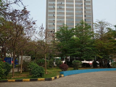 (出售) 深圳宝安大工业区红本厂房出售图2