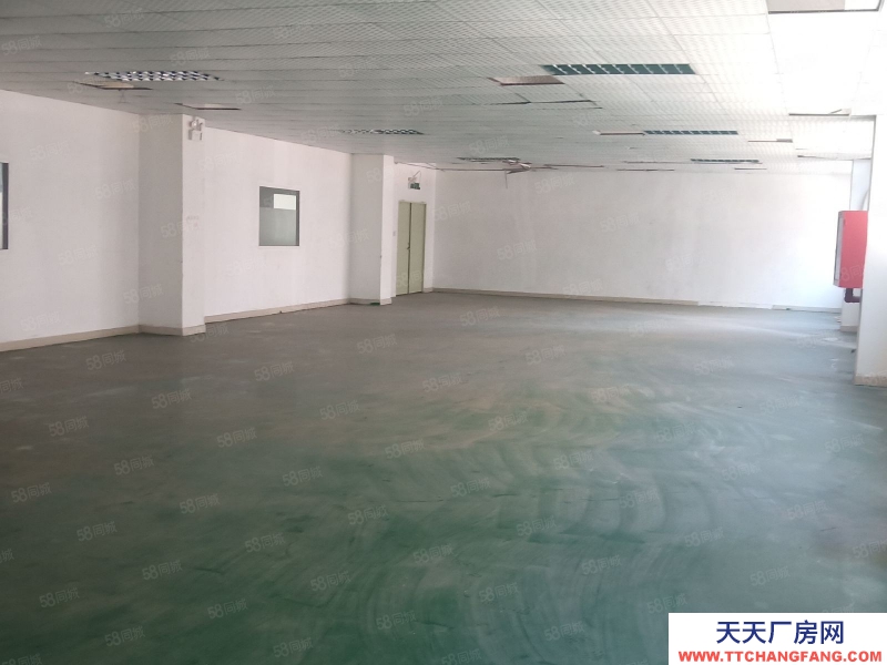 (出售) 深圳宝安大工业区红本厂房出售