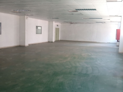 (出售) 深圳宝安大工业区红本厂房出售图4