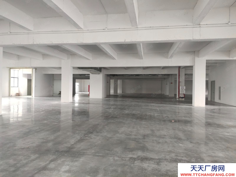 (出售) 深圳宝安水口高速国道附近钢混全新环评厂房租售宝安