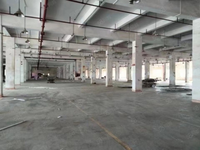 (出售) 深圳龙岗吉祥地铁站红本厂房出售 57000平米，大小面积都可以图2