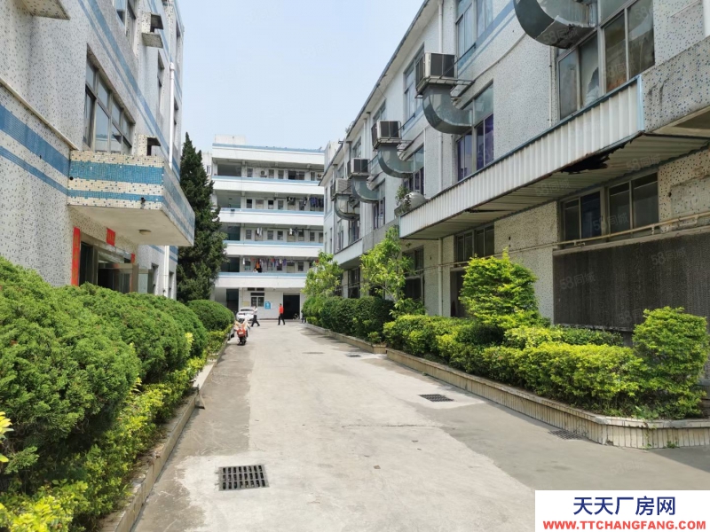 (出售) 深圳龙岗吉祥地铁站红本厂房出售 57000平米，大小面积都可以