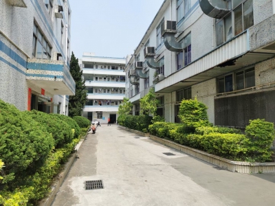 (出售) 深圳龙岗吉祥地铁站红本厂房出售 57000平米，大小面积都可以图4