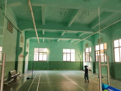 (出售) 深圳龙岗独门独院厂房出售，旧改范围，单价仅需8600平图2