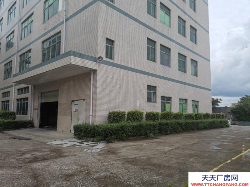 (出租) 深圳龙岗平湖白泥坑工业园一楼二楼1000平 低价厂房仓库出租现成装修