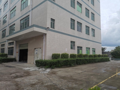(出租) 深圳龙岗平湖白泥坑工业园一楼二楼1000平 低价厂房仓库出租现成装修图2