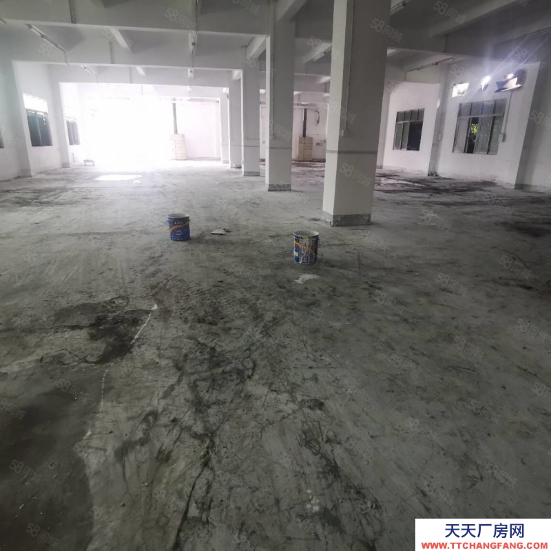 (出租) 深圳龙岗平湖木古地铁口附近新出5000平独门独院厂房仓库500平起租