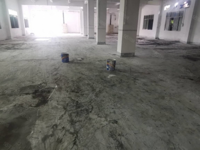 (出租) 深圳龙岗平湖木古地铁口附近新出5000平独门独院厂房仓库500平起租图1