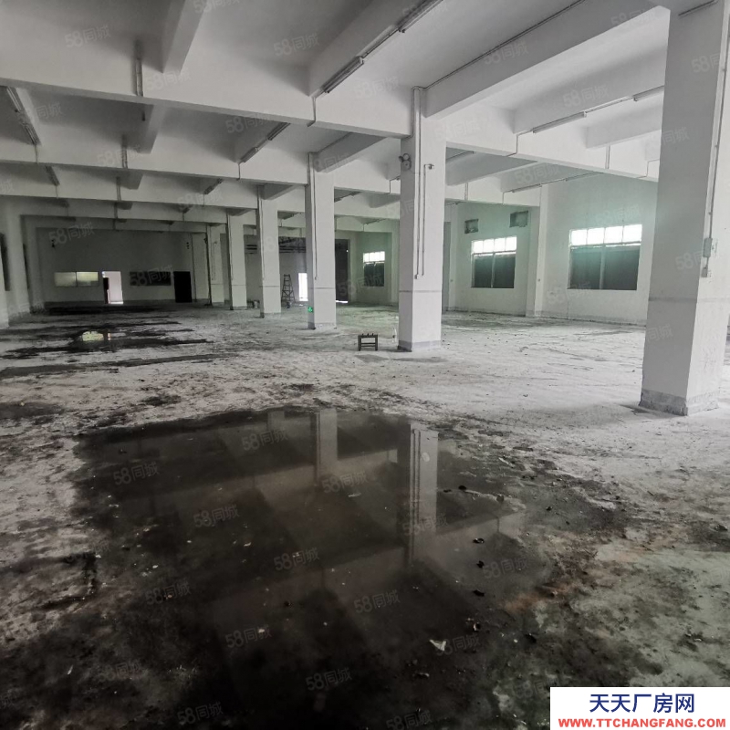 (出租) 深圳龙岗平湖木古地铁口附近新出5000平独门独院厂房仓库500平起租