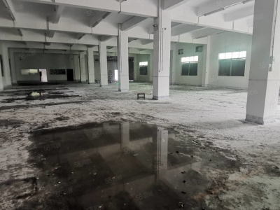 (出租) 深圳龙岗平湖木古地铁口附近新出5000平独门独院厂房仓库500平起租图3