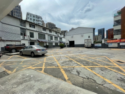 (出租) 深圳龙岗业主直租一楼235平400平580平带装修，厂房物流仓库图1