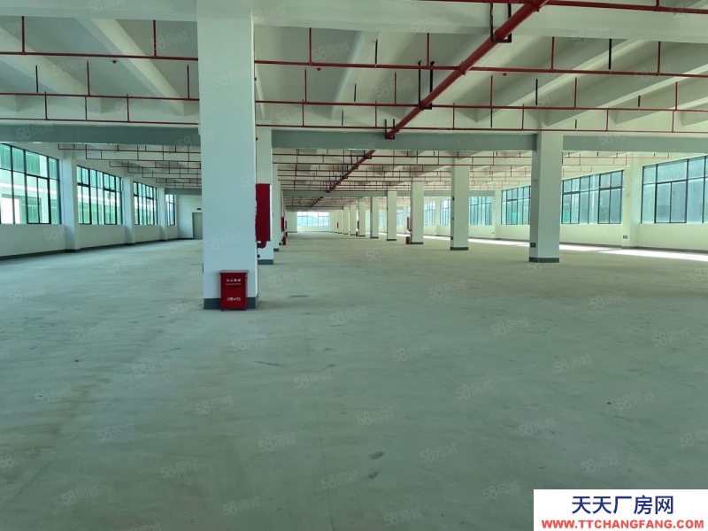 (出租) 原房东低价出租！深圳龙岗南联2350平一楼厂房仓库出租 层高7米
