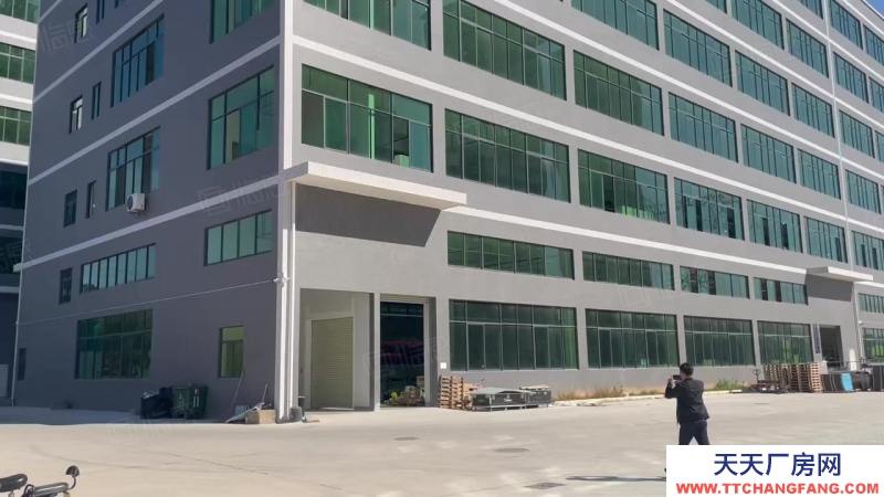 (出租) 原房东低价出租！深圳龙岗南联2350平一楼厂房仓库出租 层高7米