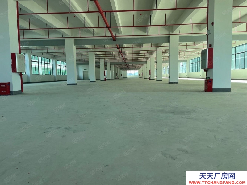 (出租) 原房东低价出租！深圳龙岗南联2350平一楼厂房仓库出租 层高7米