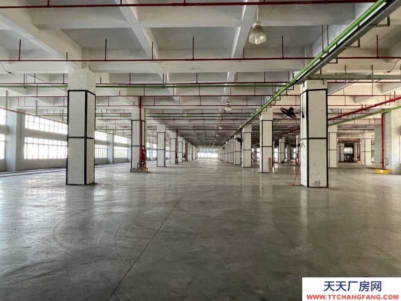 (出租) 深圳盐田独门独院4万平方厂房仓库出租，空地大，带货台,可分租