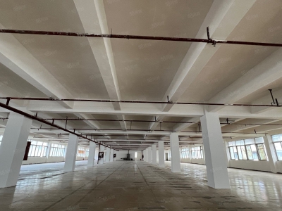 (出租) 房东直租，深圳盐田沙头角房产证面积2100平厂房出租图1