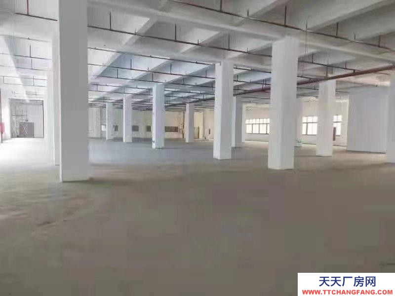 (出租) 房东直租，深圳盐田新出4000平厂房 200平起分租