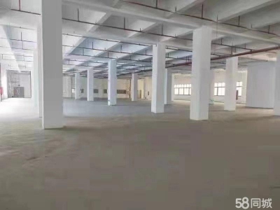 (出租) 房东直租，深圳盐田新出4000平厂房 200平起分租图2
