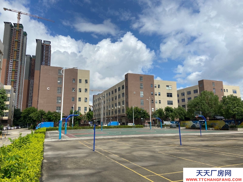 (出租) 深圳盐田沙头角工业区新空出整栋1.2万平方厂房仓库出租