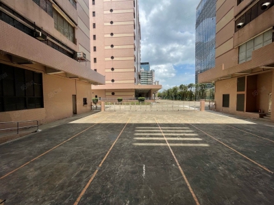 (出租) 深圳盐田沙头角新出一楼1000平红本厂房仓库招租，生产等行业图2