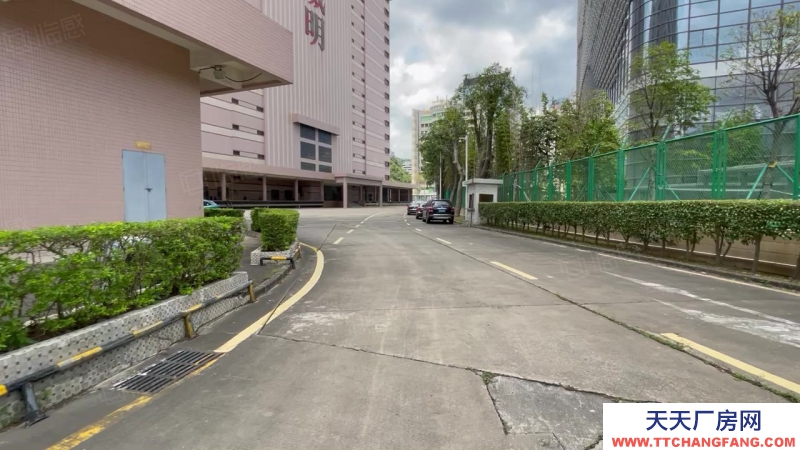 (出租) 深圳盐田沙头角新出一楼1000平红本厂房仓库招租，生产等行业