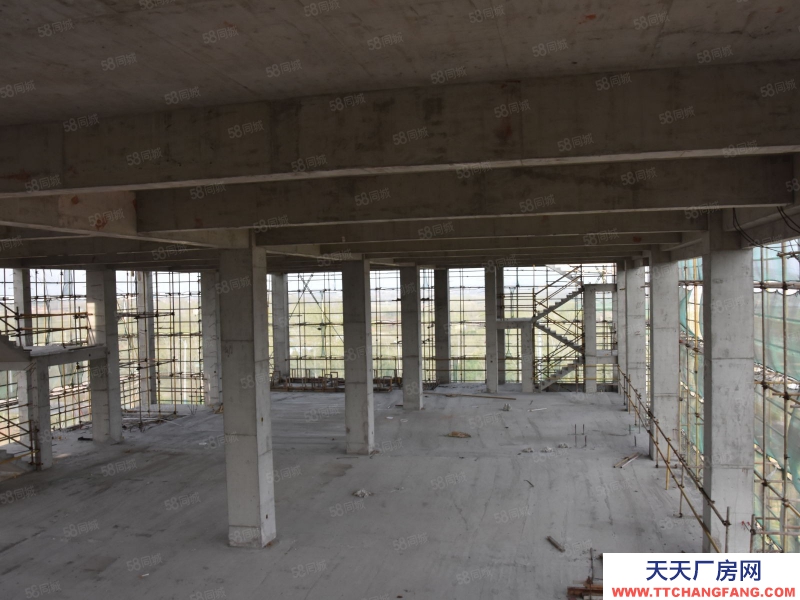 青岛即墨出售 可生产 研发办公 50年大产权超大柱距 交通便利