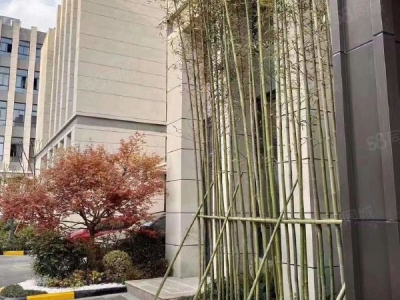南京市玄武区开发区九龙湖东南大学旁 全新两证园区厂房出售 两证全图4