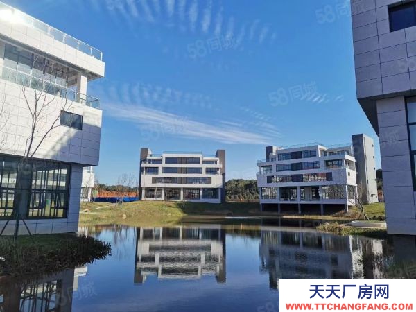 长沙市开福区军民融合产业智能制造行业生物医药行业医疗器械电子商务