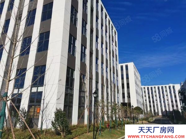 长沙市开福区军民融合产业智能制造行业生物医药行业医疗器械电子商务