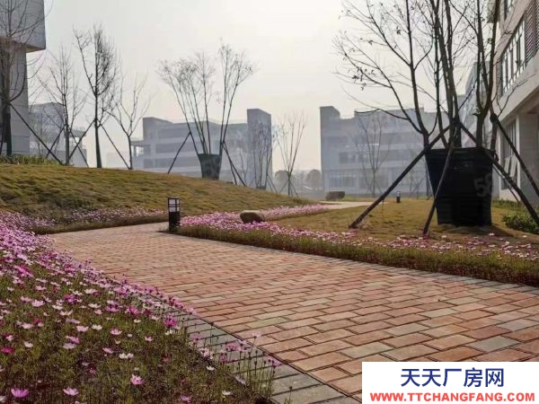 长沙市开福区首层7.2米厂房出售 临湖独栋现房 无中介费