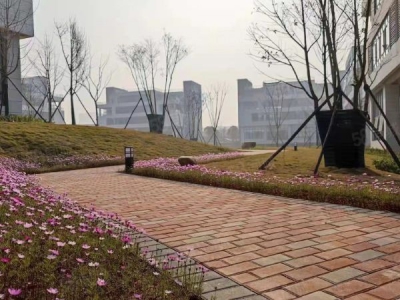 长沙市开福区首层7.2米厂房出售 临湖独栋现房 无中介费图4