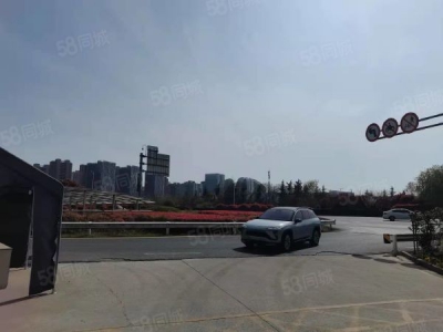 南京市玄武区非中介 南站旁 政府载体 中式独栋 月底交付图4