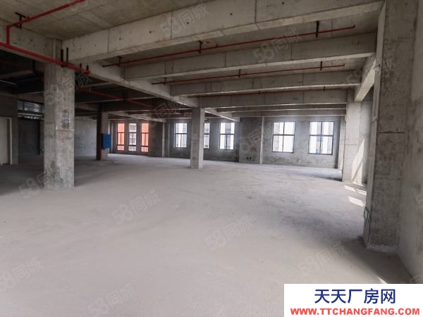 长沙市开福区老百姓国药总部旁厂房，现房，1万平，可过G