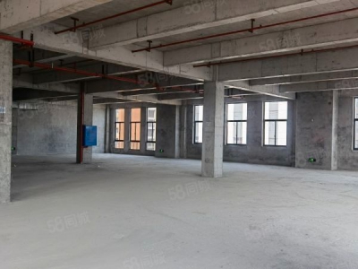长沙市开福区老百姓国药总部旁厂房，现房，1万平，可过G图4