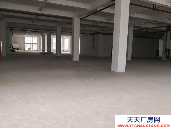 南京市玄武区福中现在大面积厂房 写字楼对外出租 面积大小可分割