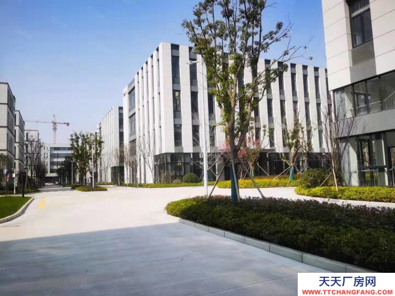 (出租) 合肥庐阳智造创新产业城！政策扶持！核心地段！配套齐全！