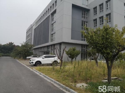 南京市玄武区福中现在大面积厂房 写字楼对外出租 面积大小可分割图4