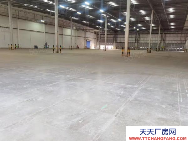 长沙市开福区中青路带月台5千平丙二类高标仓出租可分租可托管电商代发