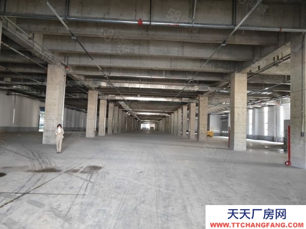 南京市溧水开发区厂房仓库20000平 带月台 金刚砂地坪 价格便宜