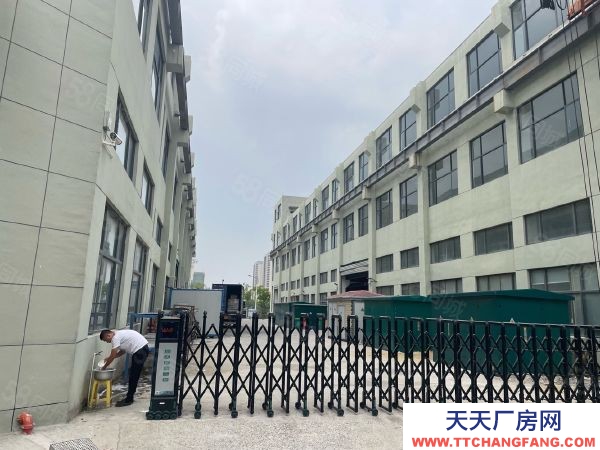南京市潥水县永阳全新多层8000平2和3楼每层2000平层高4.5米